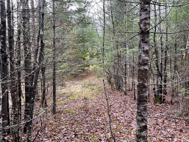 $70,000 | 194 East Gulch Road, Thorndike, ME 04986