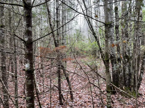 $70,000 | 194 East Gulch Road, Thorndike, ME 04986