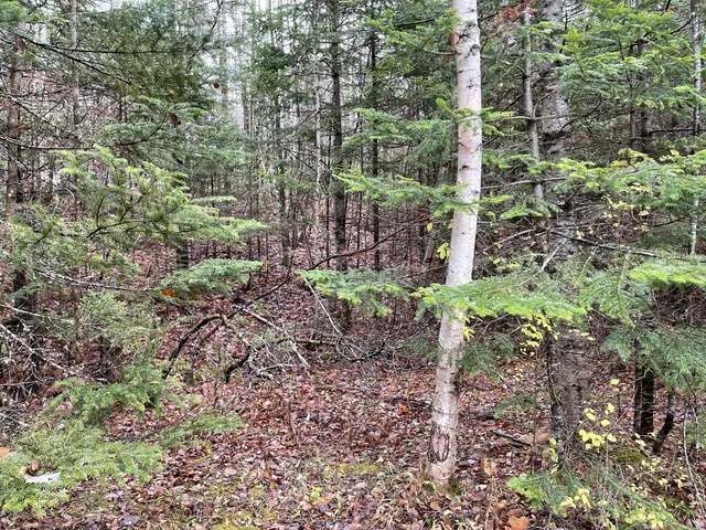 $70,000 | 194 East Gulch Road, Thorndike, ME 04986