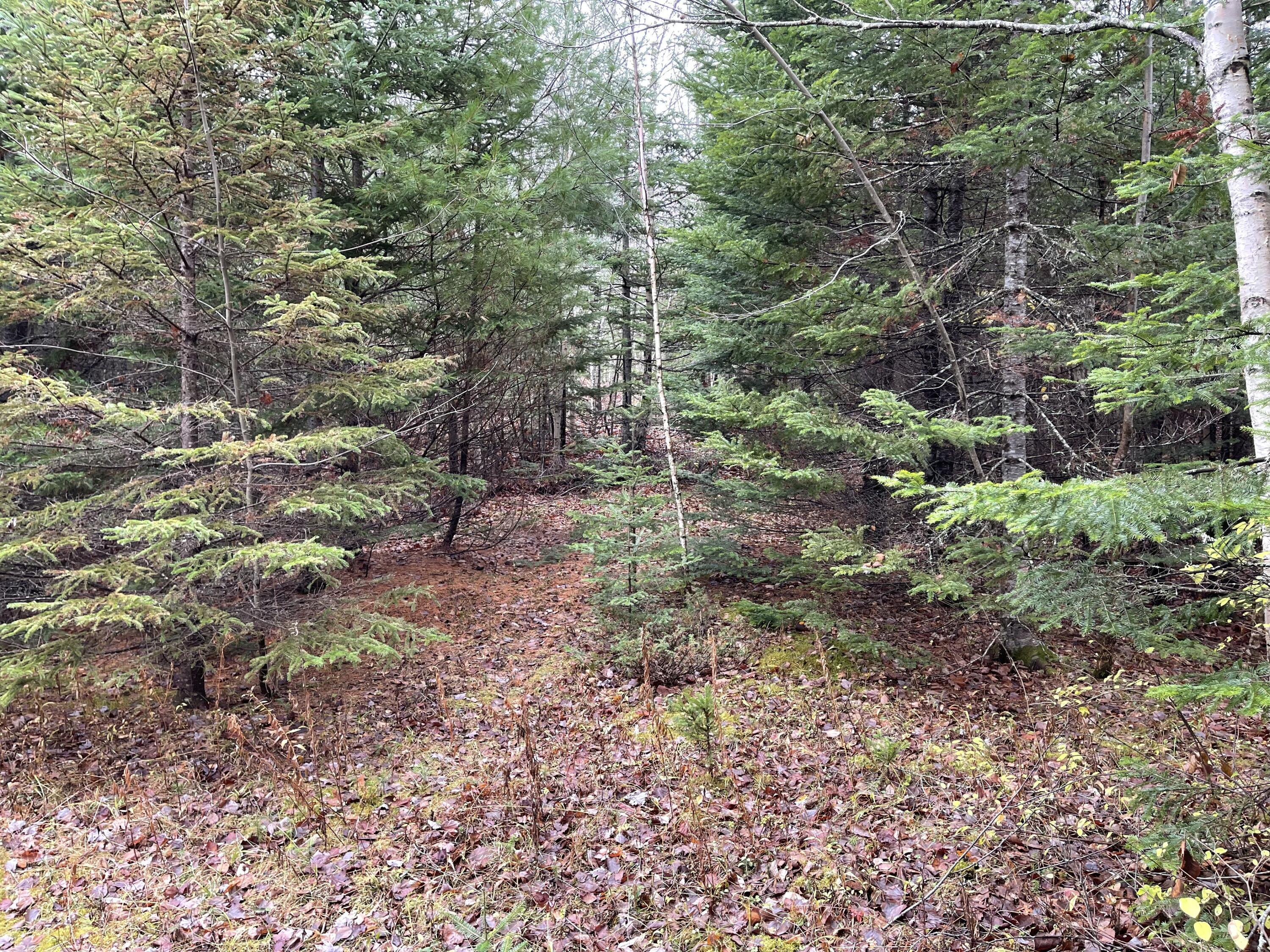194 East Gulch Road Thorndike, ME 04986 - Photo 6 of 19 194 Gulch Road