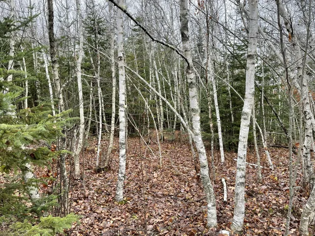 $70,000 | 194 East Gulch Road, Thorndike, ME 04986