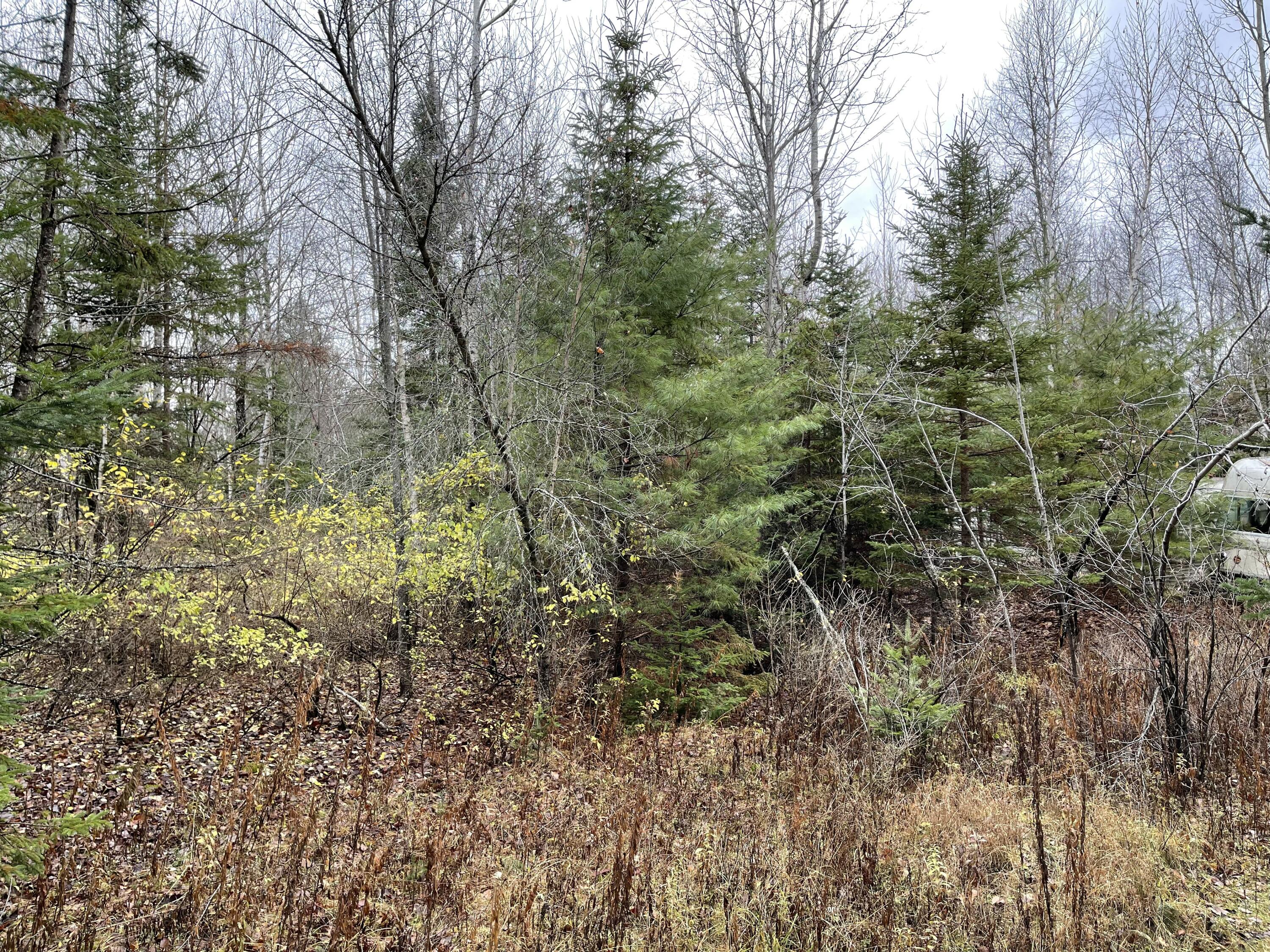 194 East Gulch Road Thorndike, ME 04986 - Photo 8 of 19 194 Gulch Road