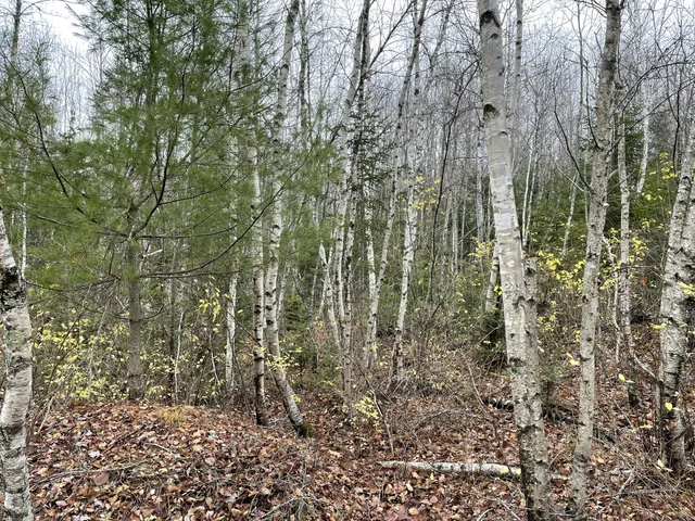 $70,000 | 194 East Gulch Road, Thorndike, ME 04986