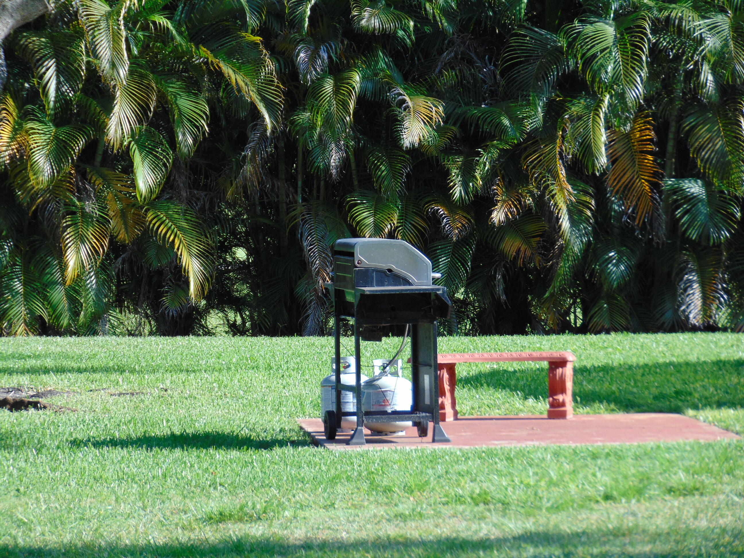 9220 Southwest 14th Street, Unit 3103 Boca Raton, FL 33428 - Photo 34 of 58 a view of a garden with an outdoor space
