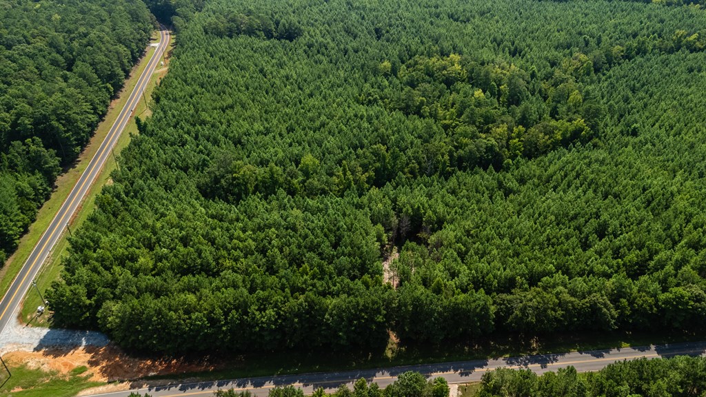 0 Fortune Hole Road East Hamilton, GA 31811 - Photo 4 of 7