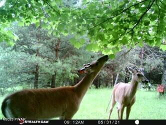 Creek Road Greentown, PA 18426 - Photo 12 of 16