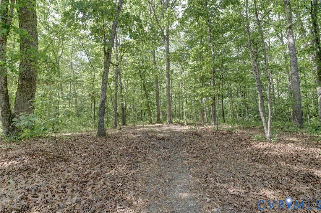 6716 Church Road Petersburg, VA 23803 - Photo 39 of 44 a view of a forest with trees in the background