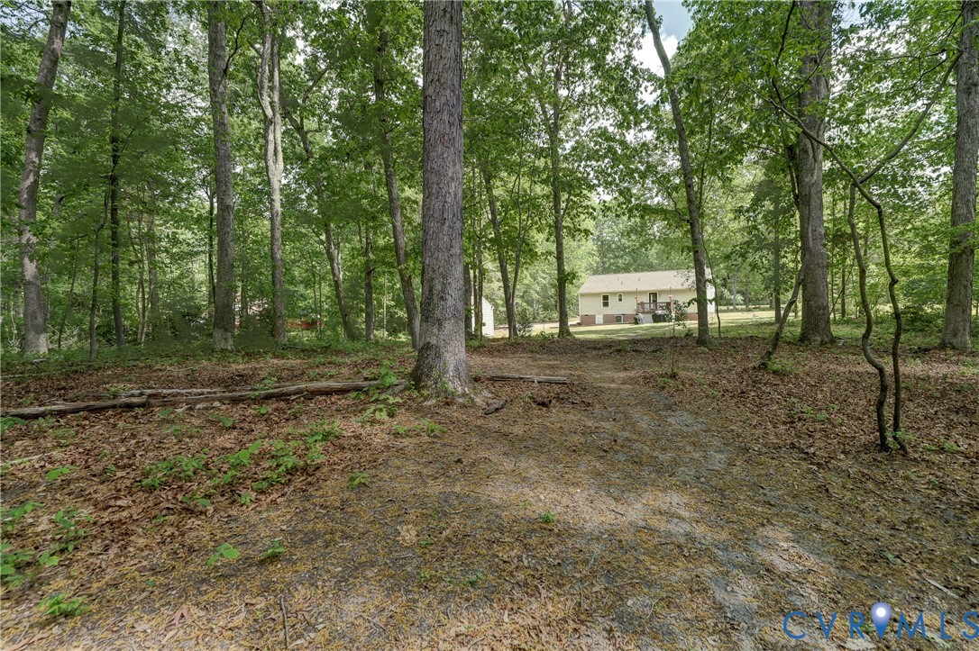 6716 Church Road Petersburg, VA 23803 - Photo 40 of 44 a view of a yard with plants and trees