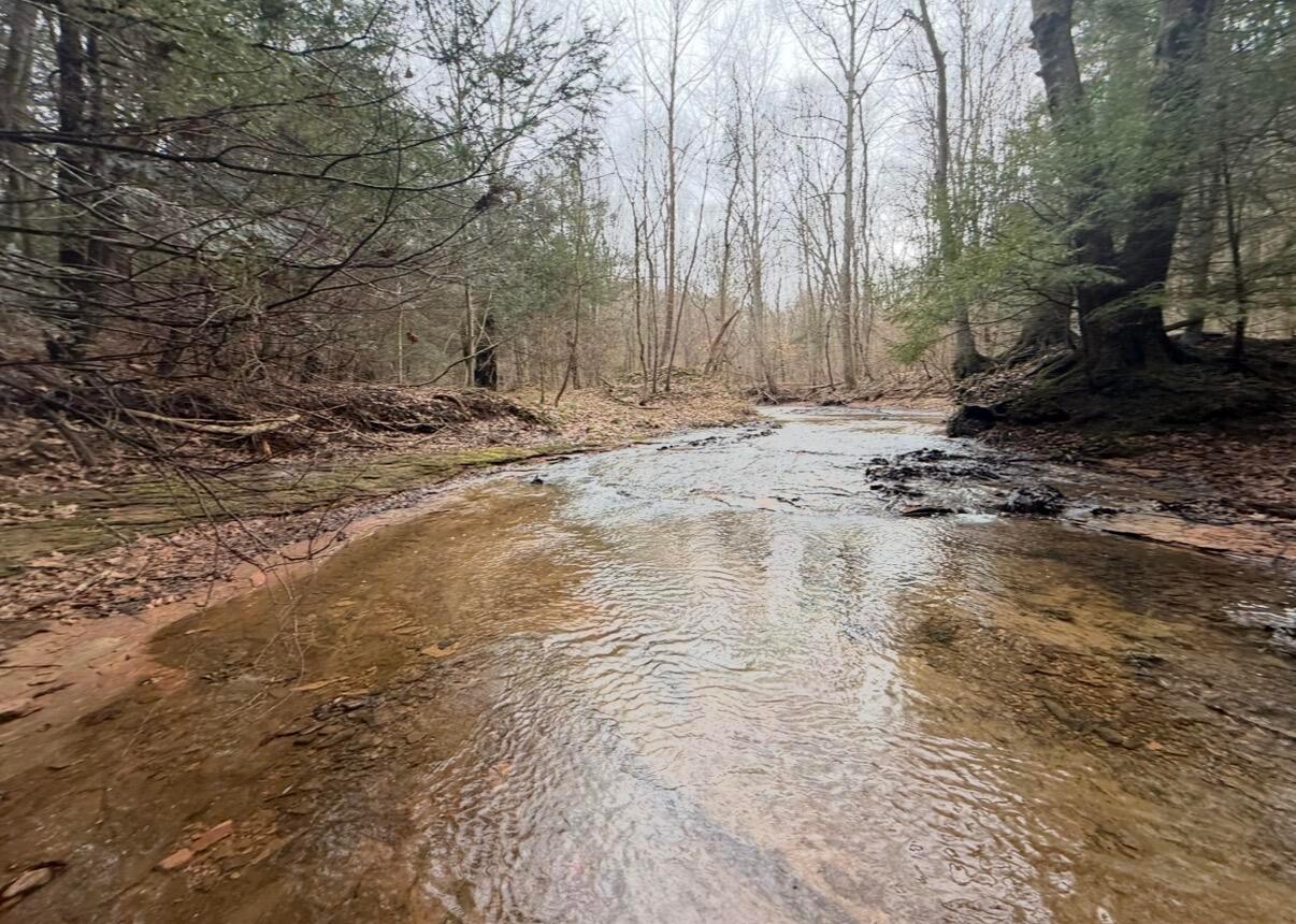 9261 Rich Hollow Road Southwest Lancaster, OH 43130 - Photo 106 of 111 IMG_2562
