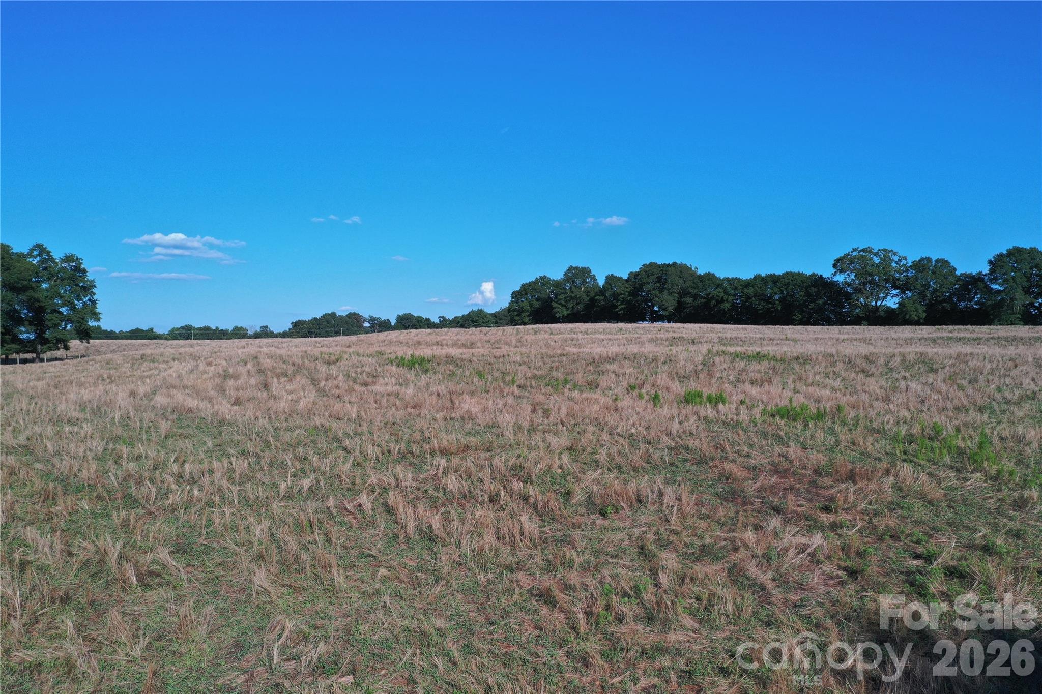 328 Sandy Run Church Road Mooresboro, NC 28114 - Photo 48 of 48