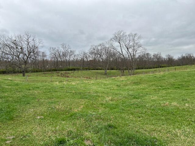 3669 Ironworks Road Georgetown, KY 40324 - Photo 9 of 19 image004