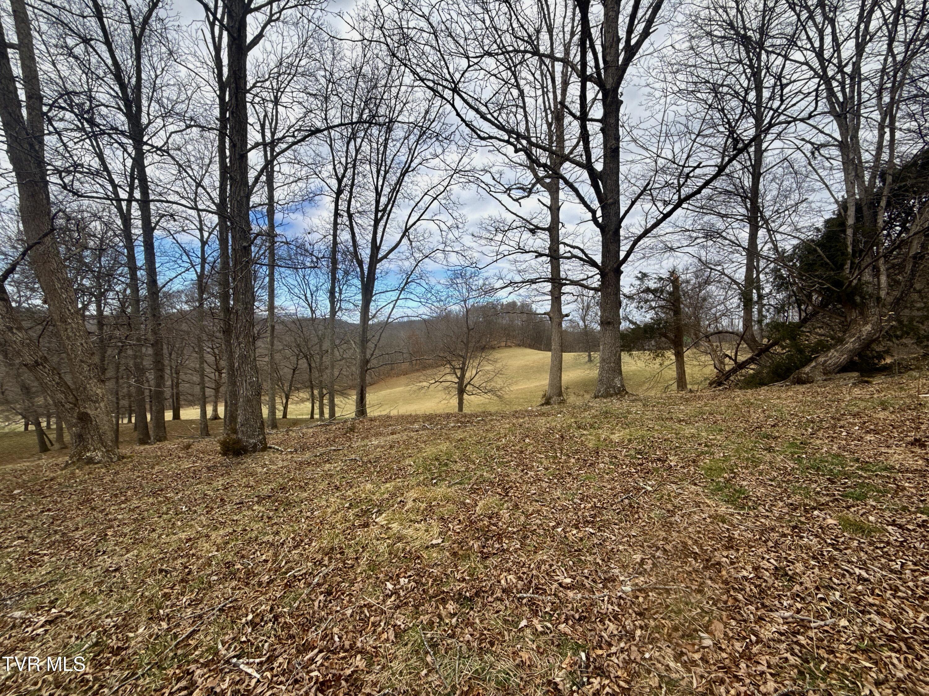 219 Ridge Road Eidson, TN 37731 - Photo 38 of 72 _Pic32 (21)