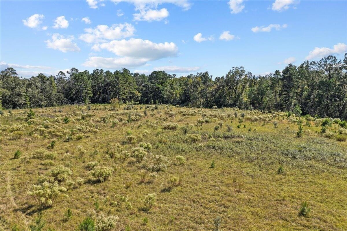 4087 Honey Lake Road Greenville, FL 32331 - Photo 29 of 31