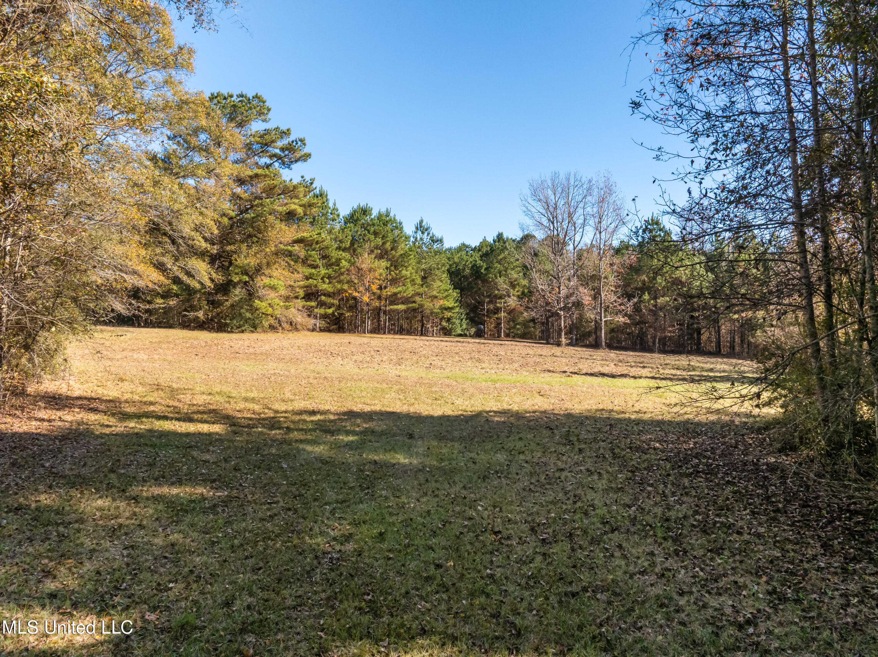 5844 North Williamsburg Road Bassfield, MS 39421 - Photo 96 of 105 5844_N_Williamsburg_Rd-83