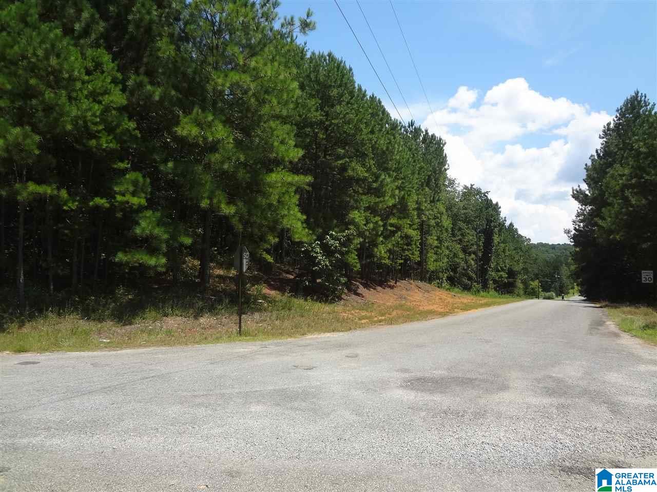 0 Beaver Ridge Circle, Unit 7 Ashville, AL 35953 - Photo 2 of 5