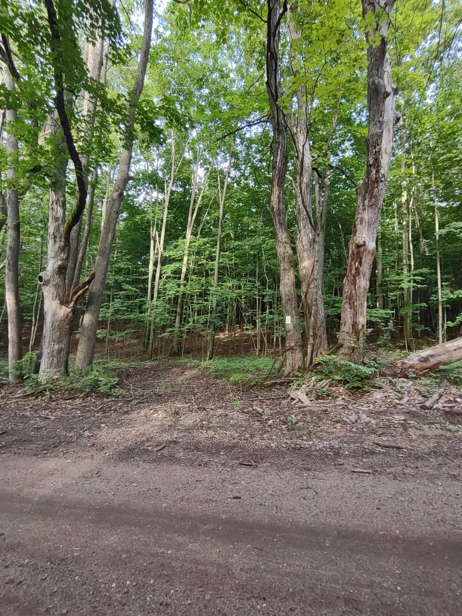 South Saddler Road Chase, MI 49623 - Photo 7 of 9 Gallery Image 7