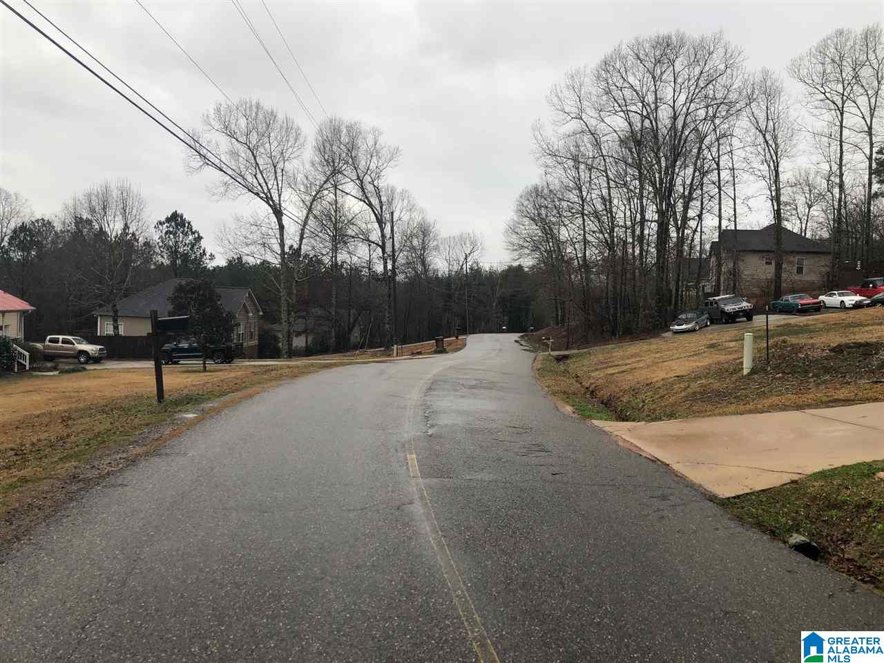 210 KOA Road Riverside, AL 35135 - Photo 20 of 20