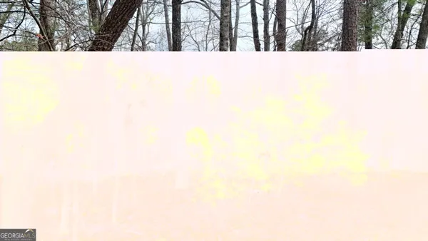 $25,000 | Lot 8 Settlement Lane, Tiger, GA 30576