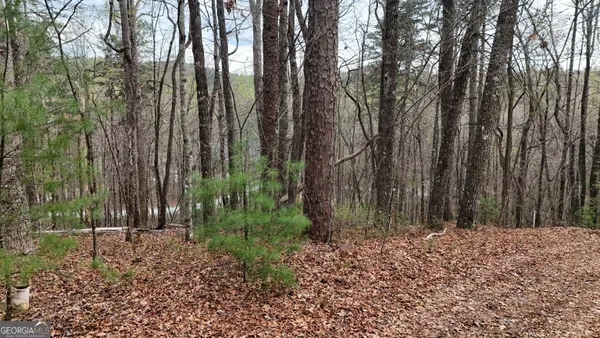 $25,000 | Lot 8 Settlement Lane, Tiger, GA 30576