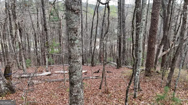 $25,000 | Lot 8 Settlement Lane, Tiger, GA 30576