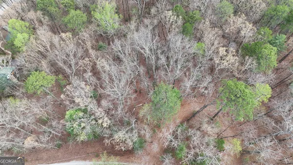 $25,000 | Lot 8 Settlement Lane, Tiger, GA 30576