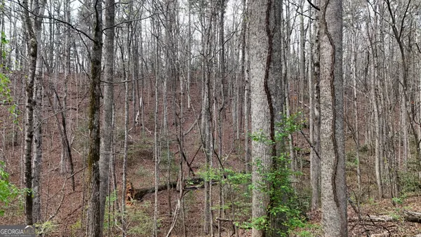 $25,000 | Lot 8 Settlement Lane, Tiger, GA 30576