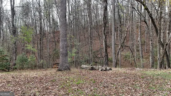 $25,000 | Lot 8 Settlement Lane, Tiger, GA 30576