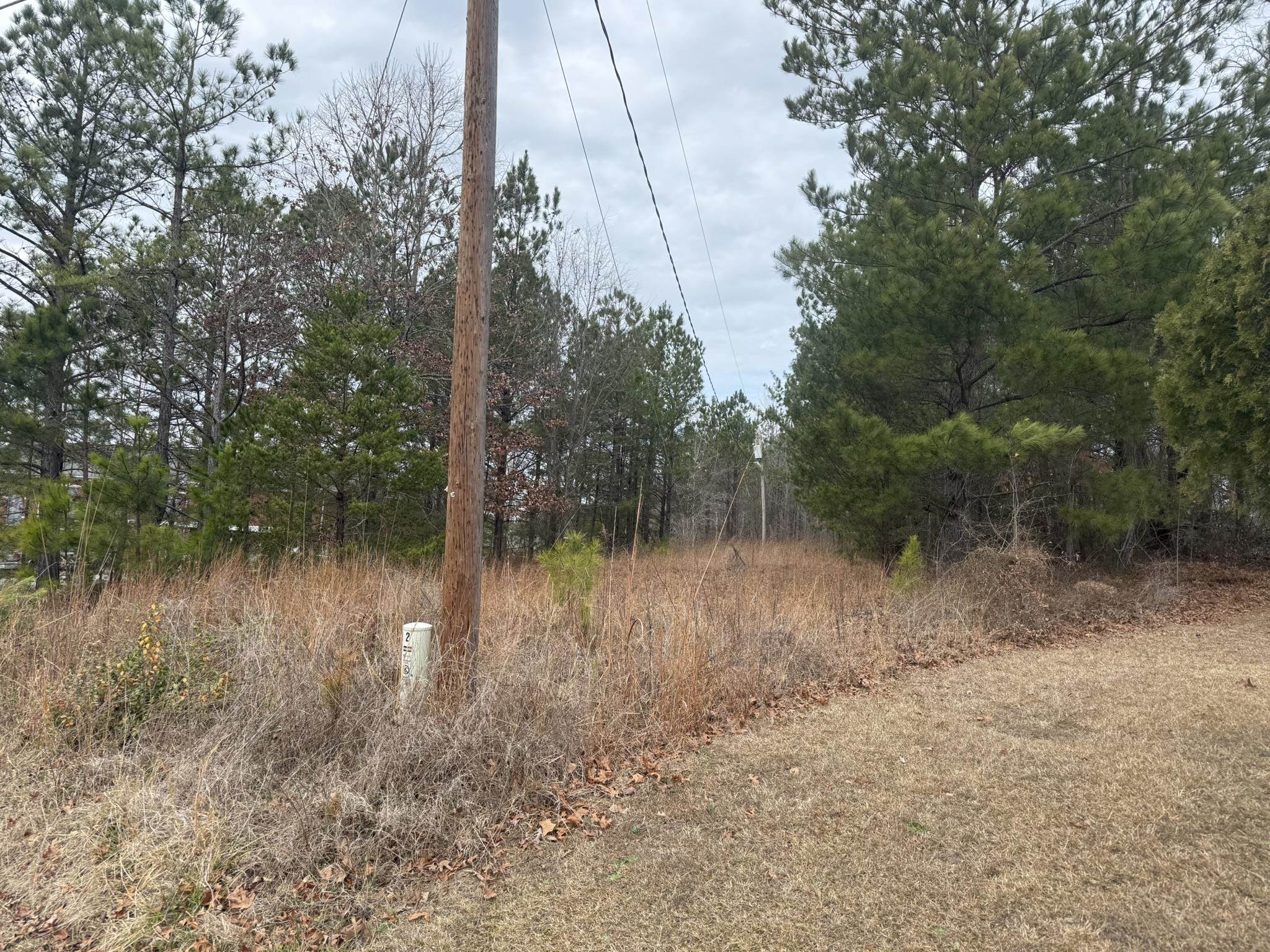 305 Gaffney Ferry Road Gaffney, SC 29340 - Photo 2 of 10