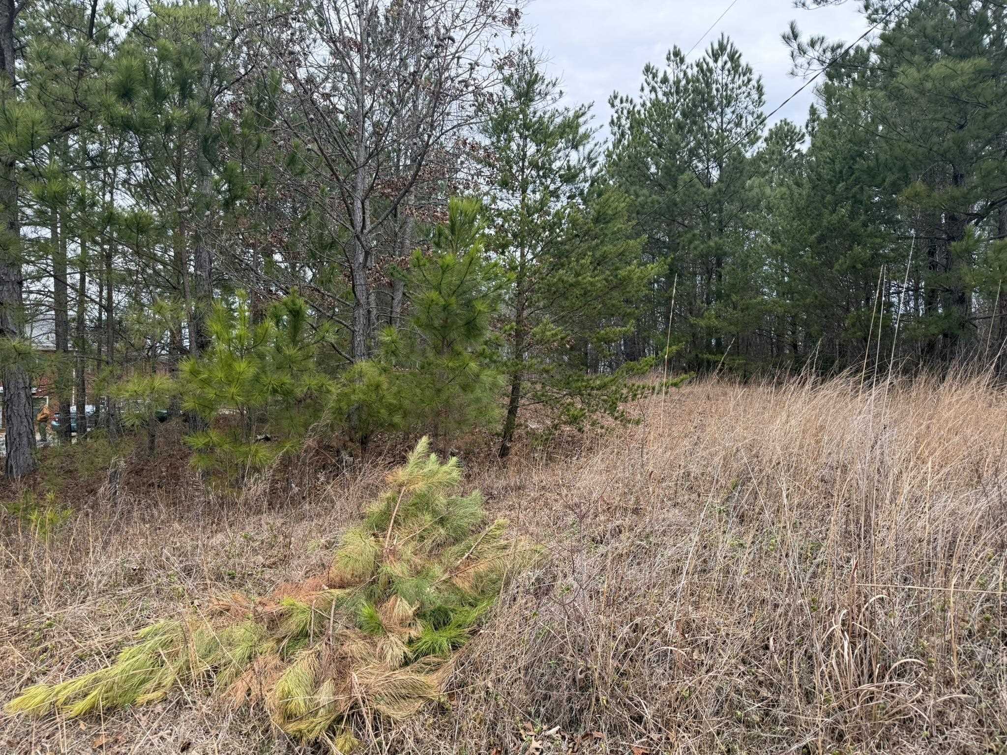 305 Gaffney Ferry Road Gaffney, SC 29340 - Photo 4 of 10