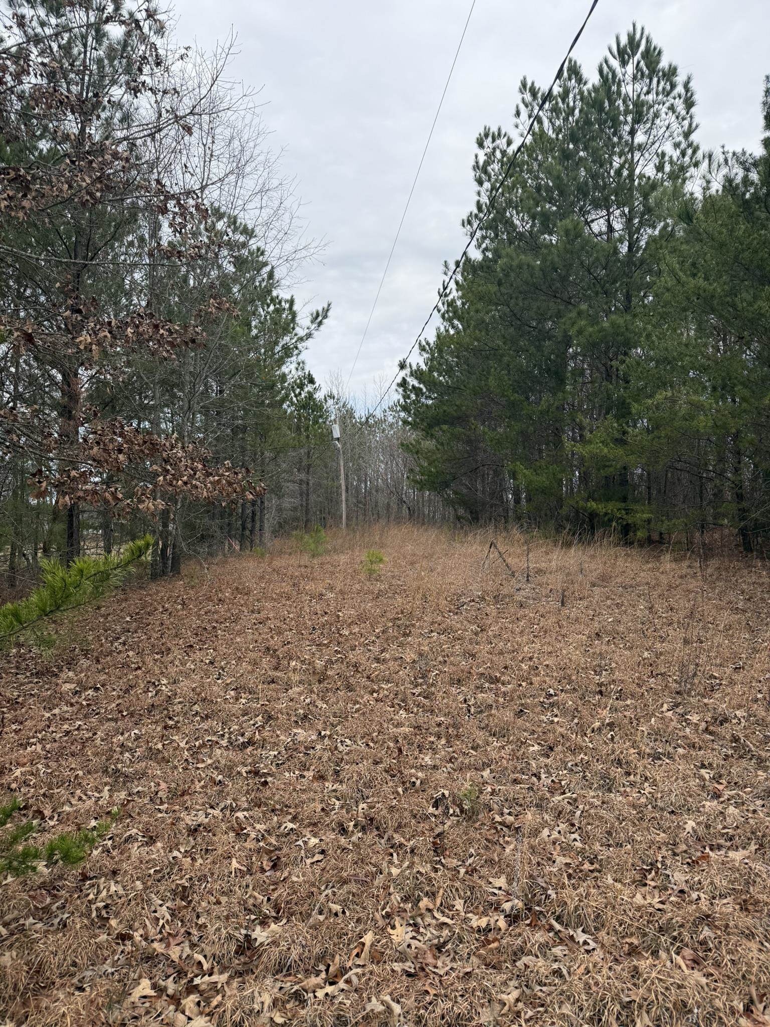 305 Gaffney Ferry Road Gaffney, SC 29340 - Photo 5 of 10
