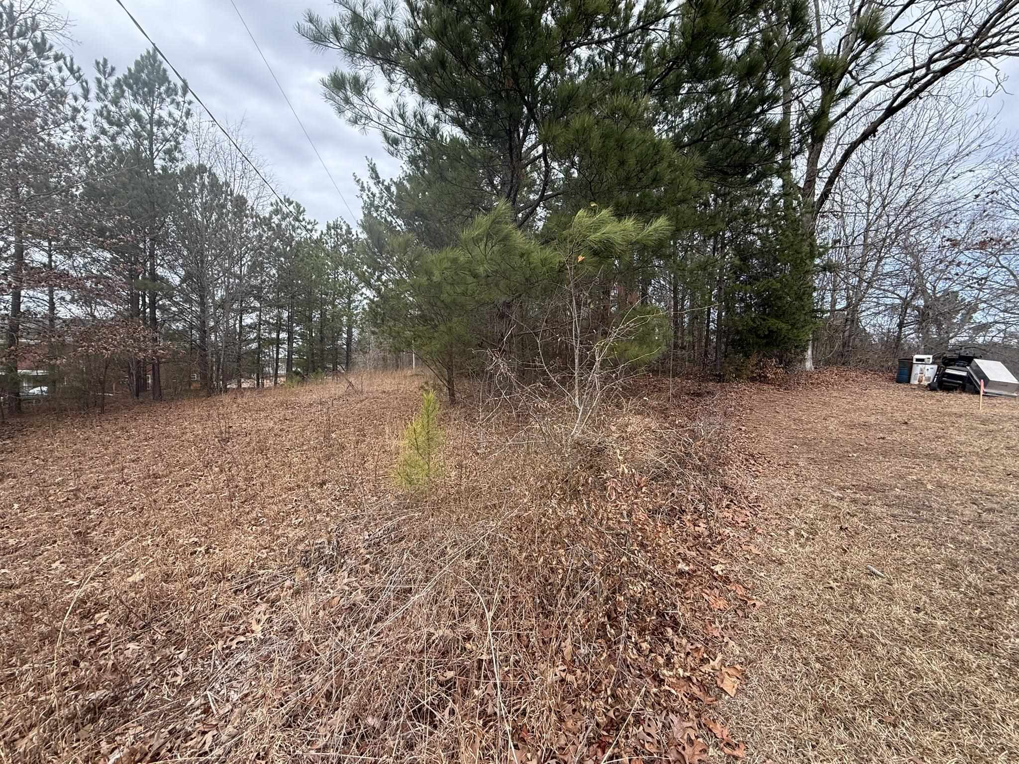 305 Gaffney Ferry Road Gaffney, SC 29340 - Photo 6 of 10