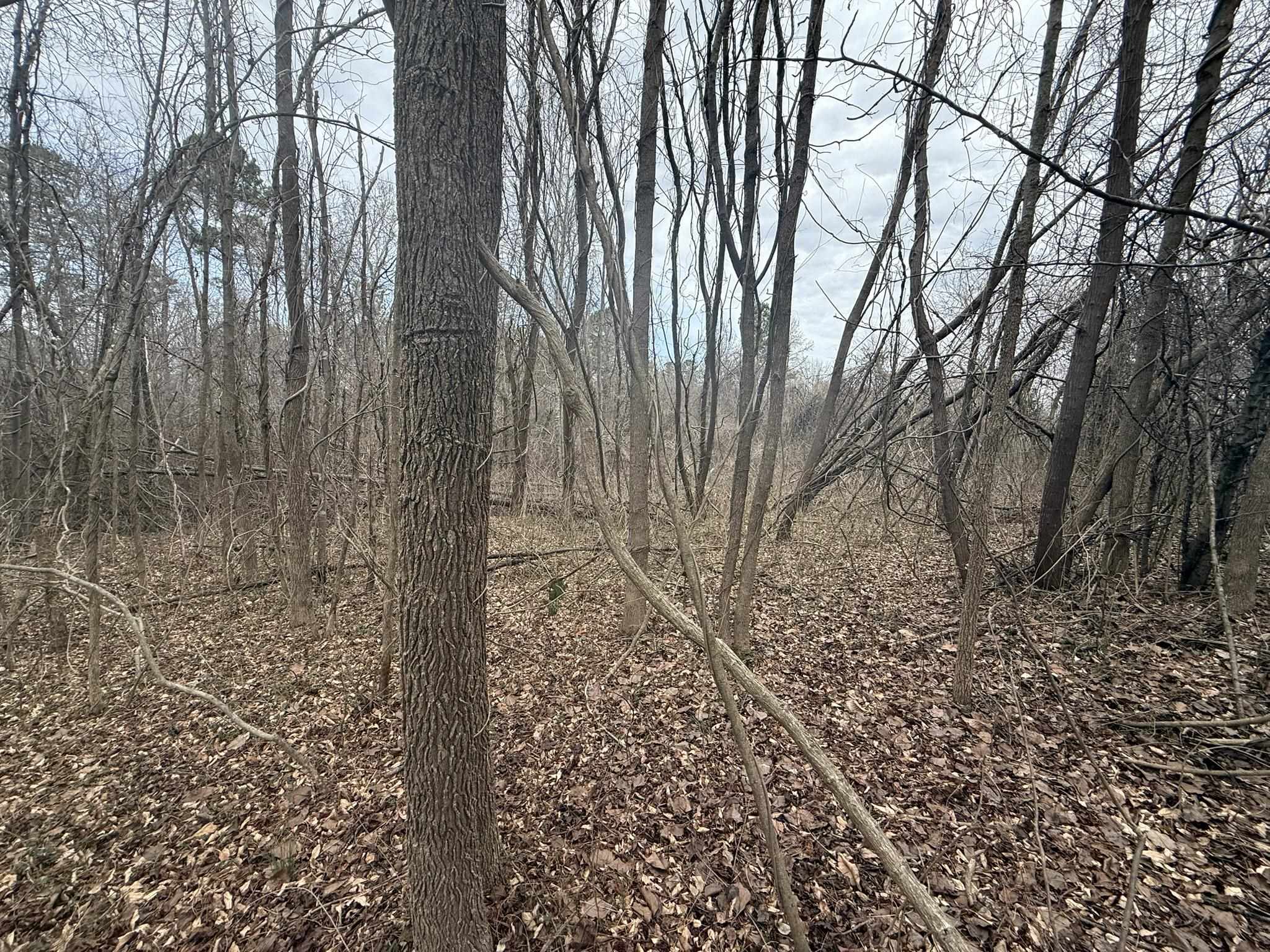 305 Gaffney Ferry Road Gaffney, SC 29340 - Photo 7 of 10