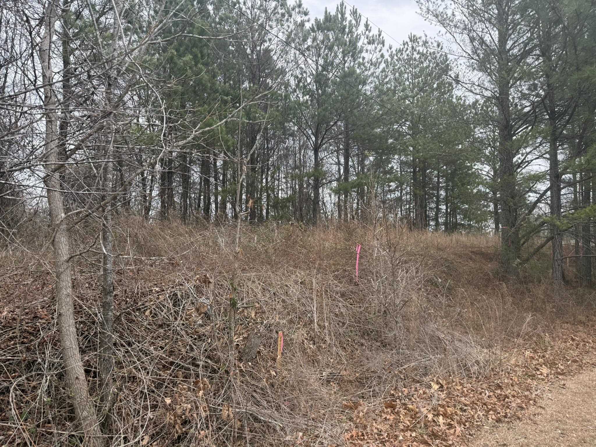 305 Gaffney Ferry Road Gaffney, SC 29340 - Photo 9 of 10