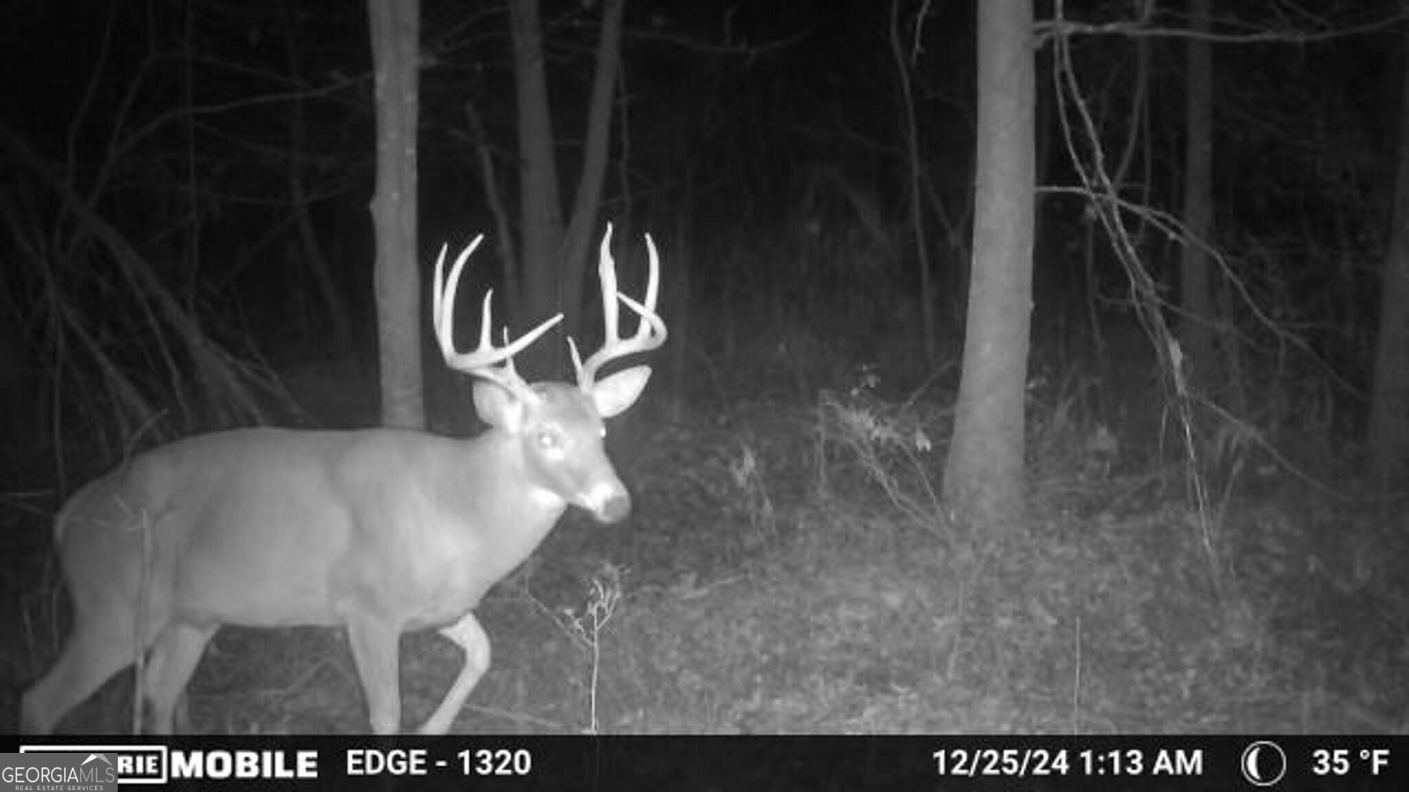 0 Sam Bradley Road Americus, GA 31709 - Photo 36 of 37 Gallery Image 36