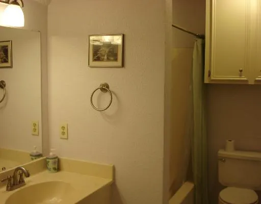 a bathroom with a sink and a shower