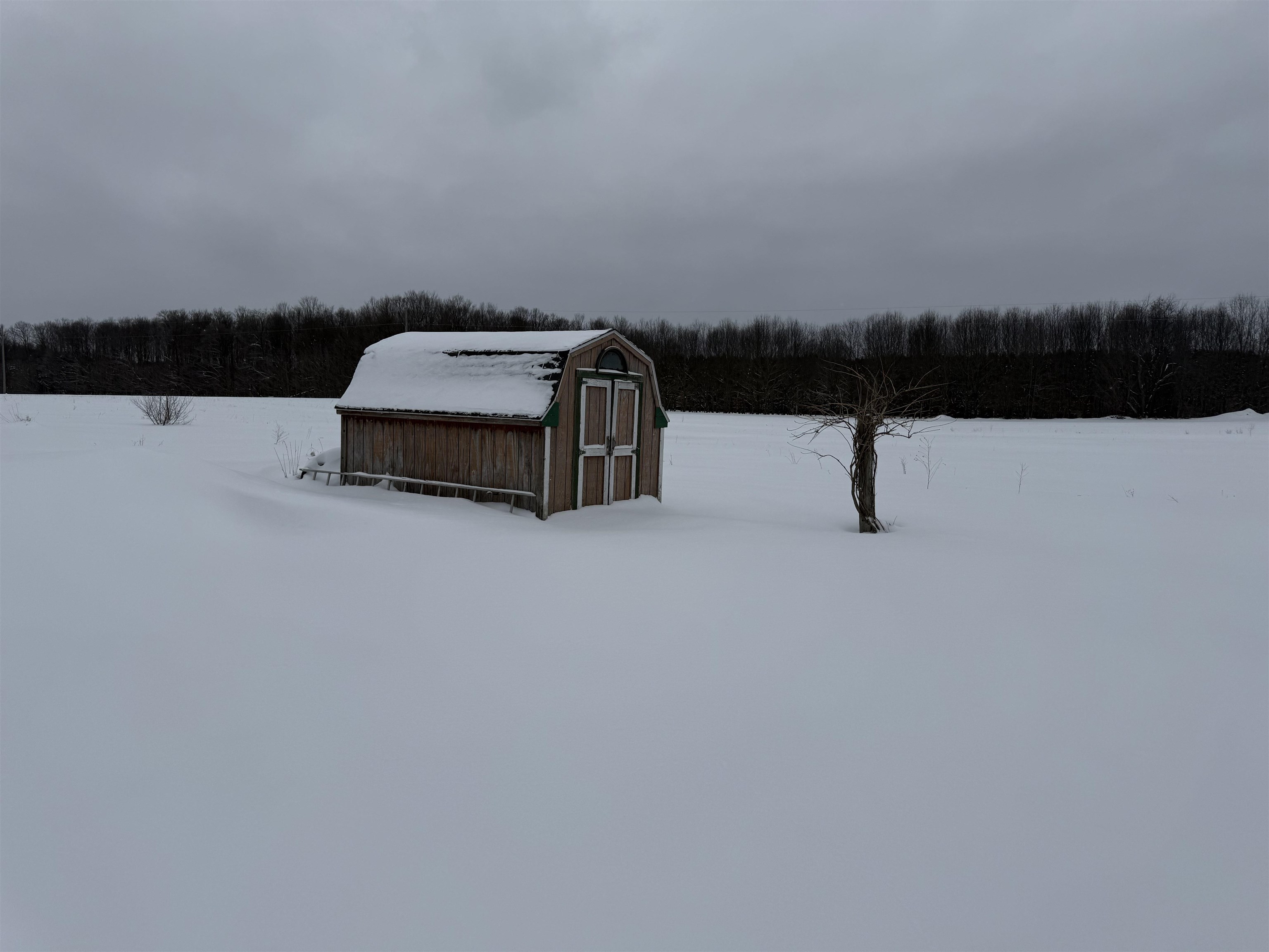 20347 Faylor Road Copemish, MI 49625 - Photo 3 of 24