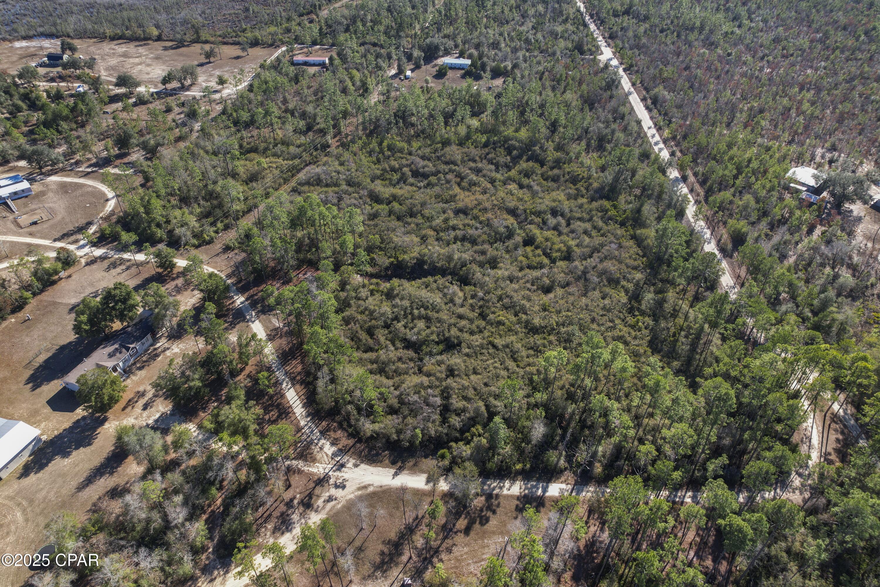 0 Stevens Road Altha, FL 32421 - Photo 3 of 15