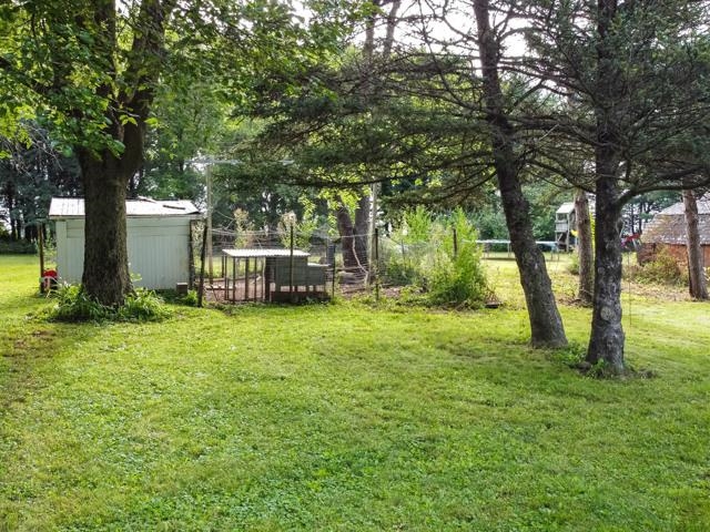 9473 Cemetery Road Winnebago, IL 61088 - Photo 17 of 24 a backyard of a house with plants and large tree