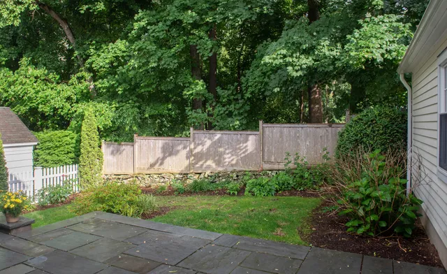 a view of a backyard with plants and large trees