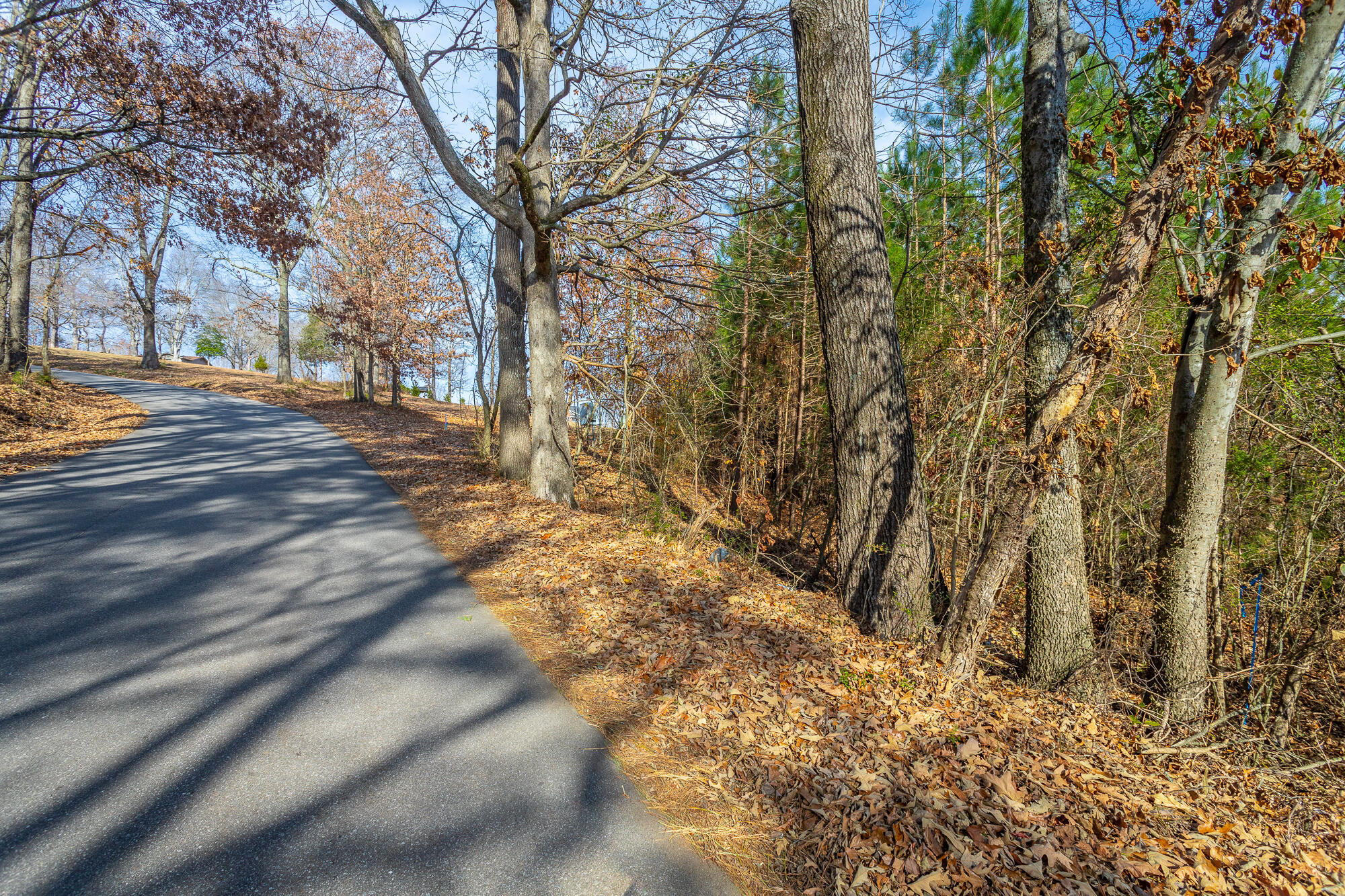 220 Albet Pilgrim Road Jasper, TN 37347 - Photo 10 of 16 220 Albert Pilgram Road HD-2