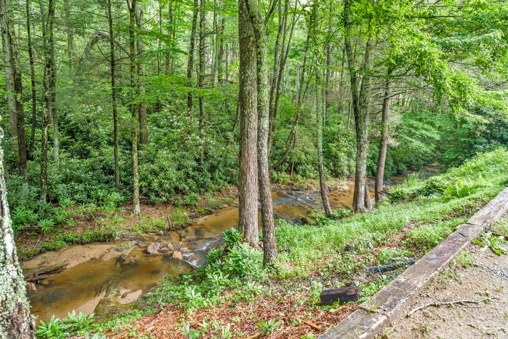 166 Charlie Hicks Road Banner Elk, NC 28604 - Photo 5 of 38