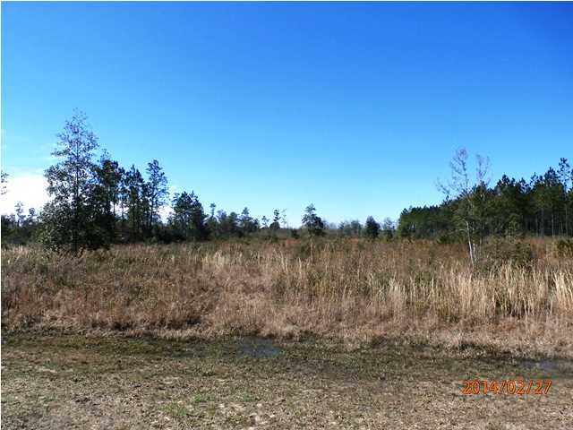 725 Sandy Ramp Road DeFuniak Springs, FL 32433 - Photo 17 of 20 a view of a lake