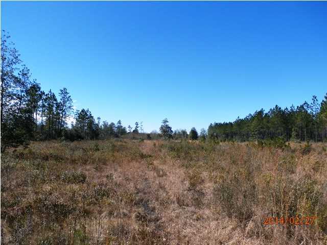 725 Sandy Ramp Road DeFuniak Springs, FL 32433 - Photo 19 of 20 a view of an outdoor space with green field and trees