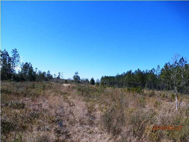 725 Sandy Ramp Road DeFuniak Springs, FL 32433 - Photo 20 of 20 a view of a dry field with trees in background
