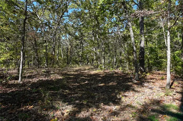 $849,000 | 33981 County Road 96, Cross Timbers, MO 65634