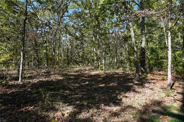 $869,000 | 33981 County Road 96, Cross Timbers, MO 65634