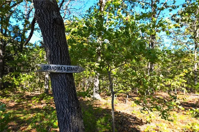 $869,000 | 33981 County Road 96, Cross Timbers, MO 65634