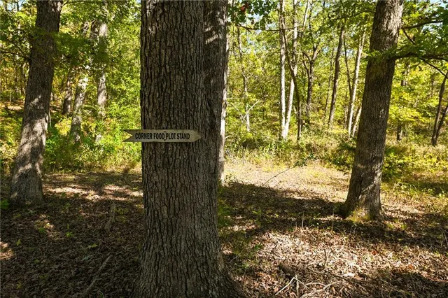 $869,000 | 33981 County Road 96, Cross Timbers, MO 65634