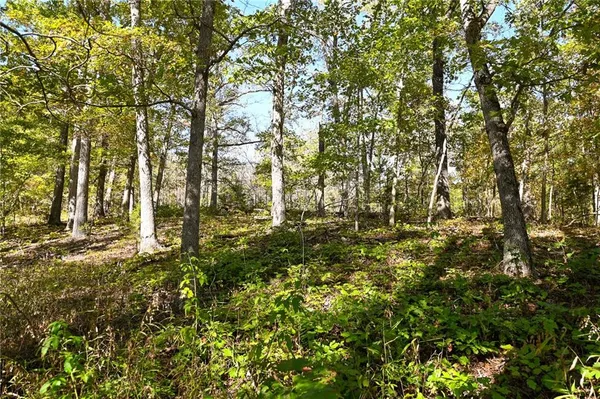 $849,000 | 33981 County Road 96, Cross Timbers, MO 65634