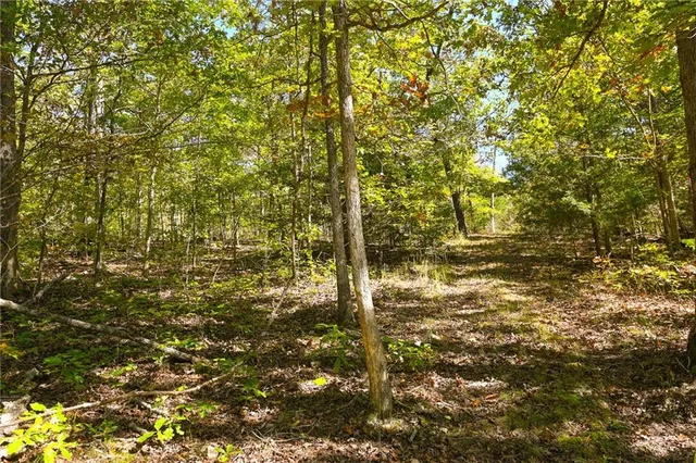 $869,000 | 33981 County Road 96, Cross Timbers, MO 65634